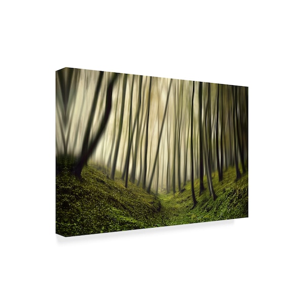 Samanta Krivec 'Run Forest Run' Canvas Art,12x19